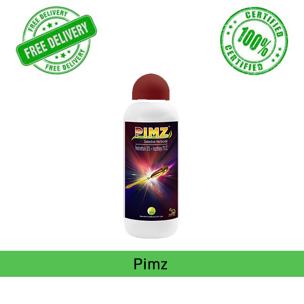 Pimz